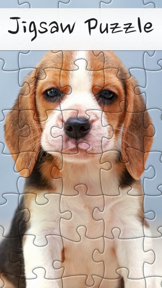 Jigsaw Puzzle Appͼ0