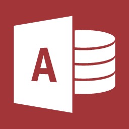 Microsoft Access 2010 Runtime