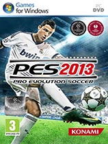 ʵ2013Pro Evolution Soccer 2013޶׼k v1.0