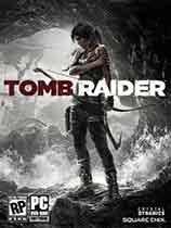 ĹӰ9棨Tomb Raider Survivalȫ汾޸