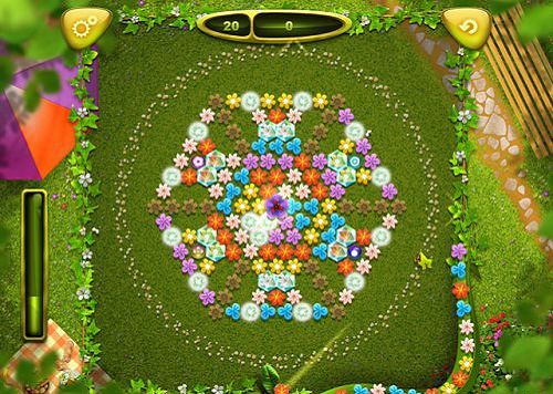 ħ(Magic Petals)ͼ