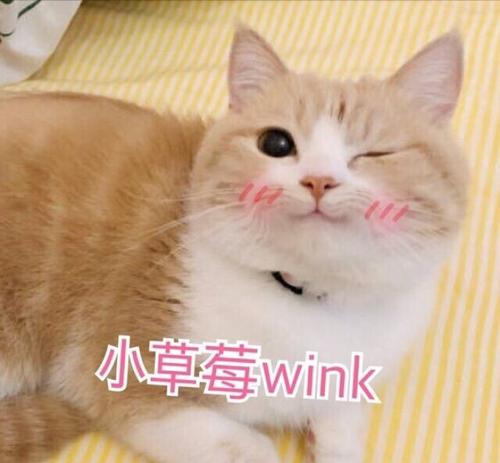 wink表情包 wink表情包小女孩 wink表情包小男孩