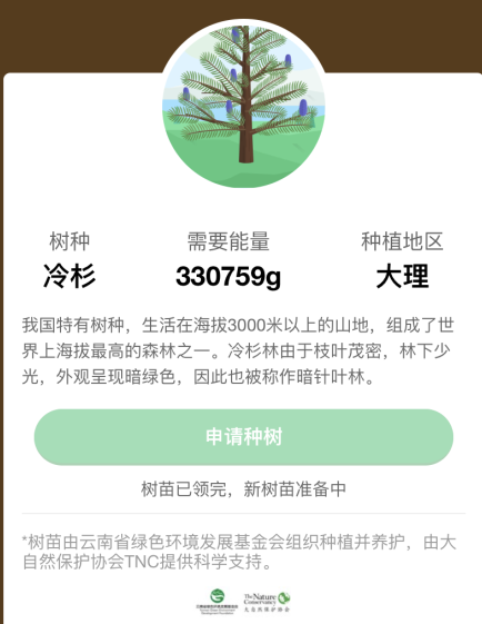 蚂蚁森林冷杉有多少颗?