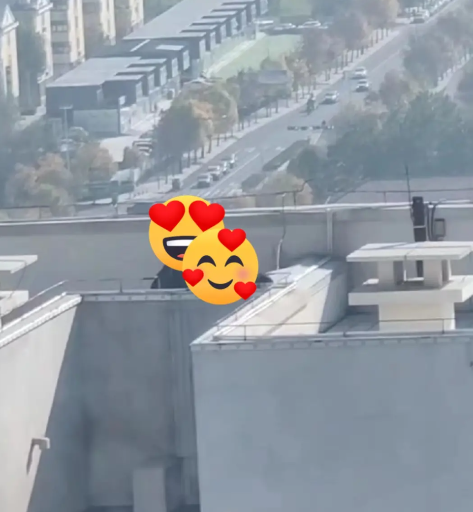 寿光东城未来城楼顶楼的瓜是什么视频 寿光东城天台的瓜发生什么事情了