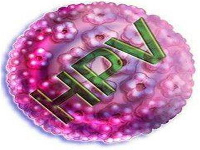 hpv16ô