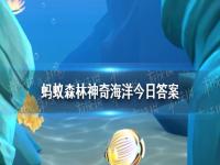 以下哪种海洋灾害被称为“海洋中的黑洞”？ 神奇海洋今日答案2.6