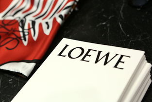 LOEWE_ҫ LOEWE ̺