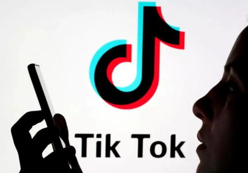 TikTok_TikTok޽츻С?