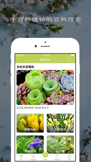 花草集