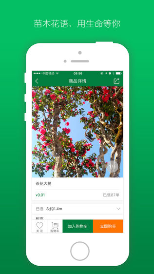 遇树林丰
