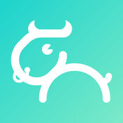 ţ
