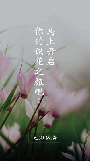 花眼
