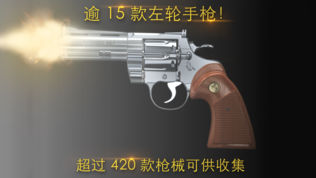 iGun Proͼ0