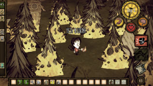 Don't Starve