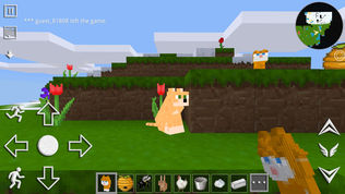 Worldcraft Pocket Edition