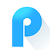 PDF