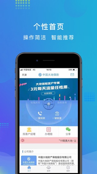 中国大地保险