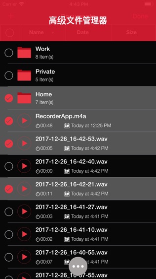 Recorder App Lite