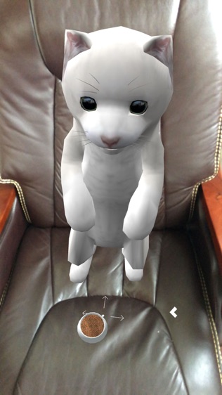猫抓老鼠