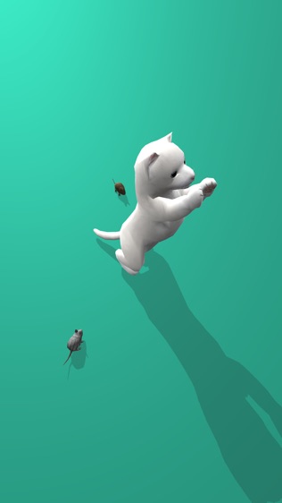 猫抓老鼠