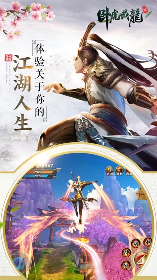 卧虎藏龙2