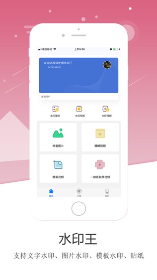 水印王