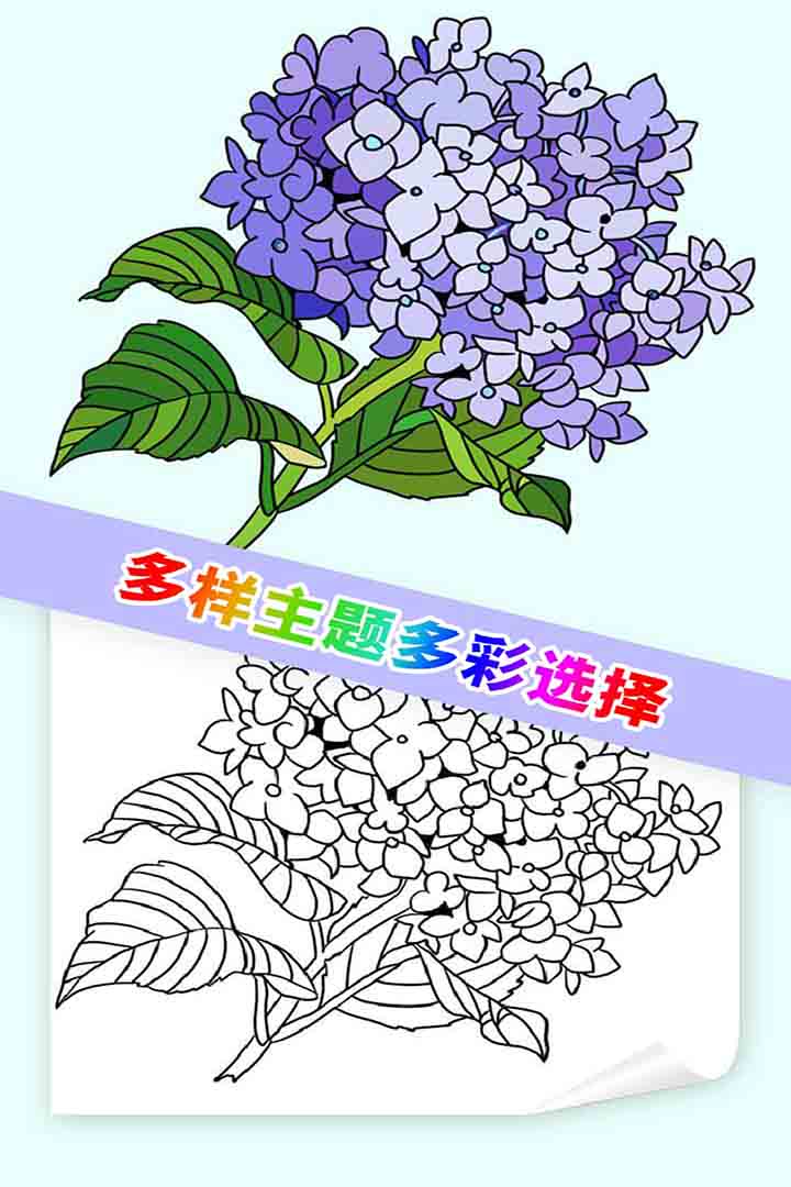 뾲