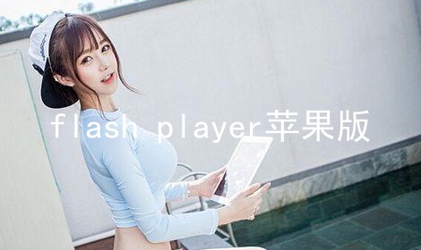 flash playerƻ