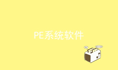 PEϵͳ