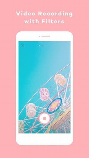 Pictail PinkLady