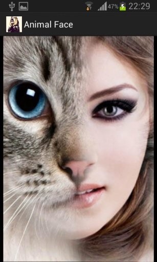 Animal Face 