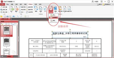 PDF༭