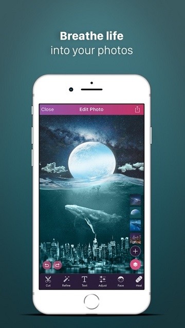 Pixomaticͼ1