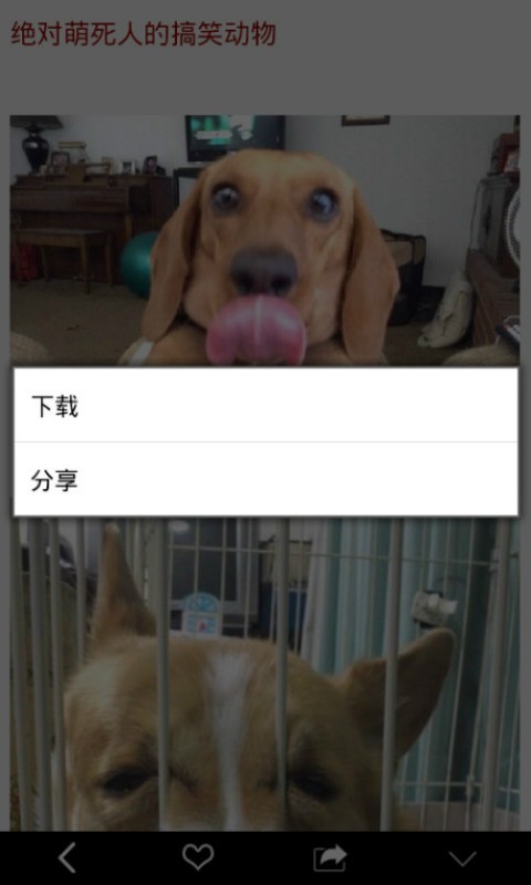 ȤͼƬͼ2