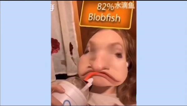 ͼ1