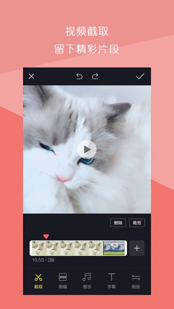 Ƶƴ