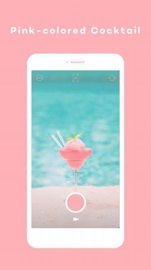 Pictail PinkLady