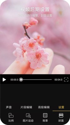 VlogƵ༭