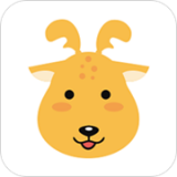 ¹¹