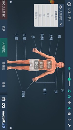 ȫģͼ2