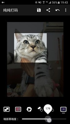 ͼ2