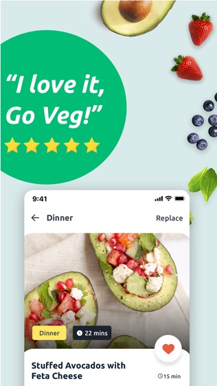 Vegetarian Meal Plansͼ1