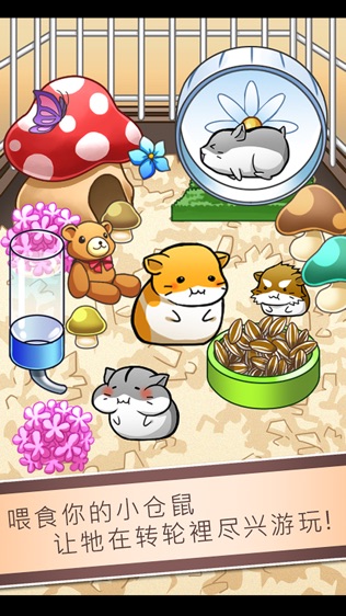 Hamster Lifeͼ1