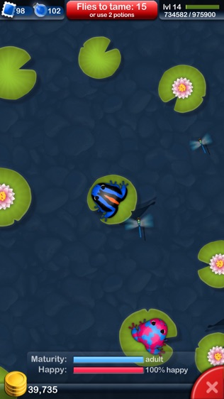 Pocket Frogs