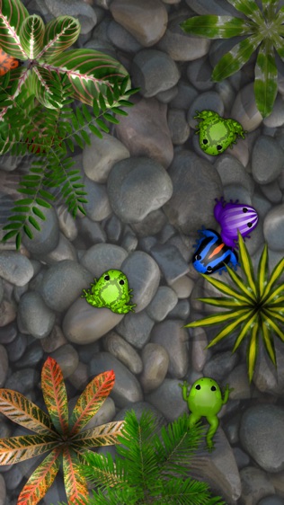 Pocket Frogs