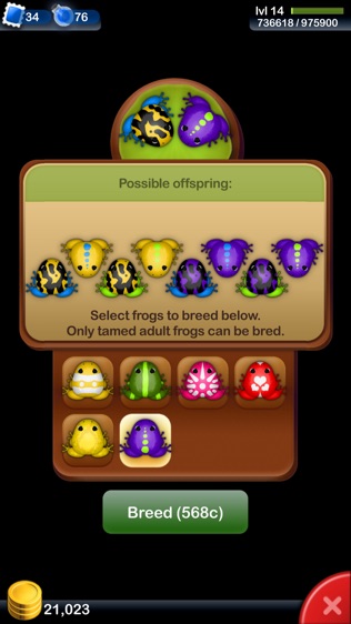 Pocket Frogs