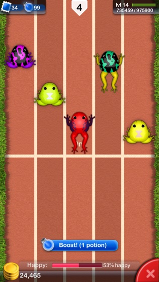 Pocket Frogs