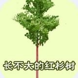 ĺɼͯ