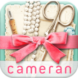 cameran collage