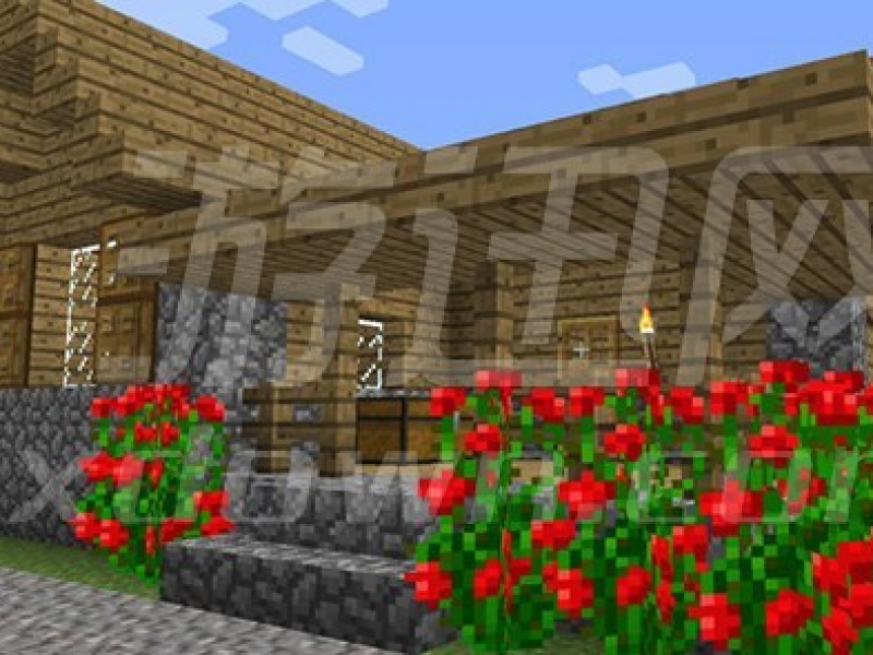 ҵµĽϰ 1.8.9İͼ